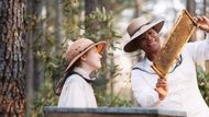 The Secret Life of Bees (2008) | Image Source: Fox Searchlight Pictures